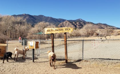 Pet Friendly Airbnb in Colorado Springs